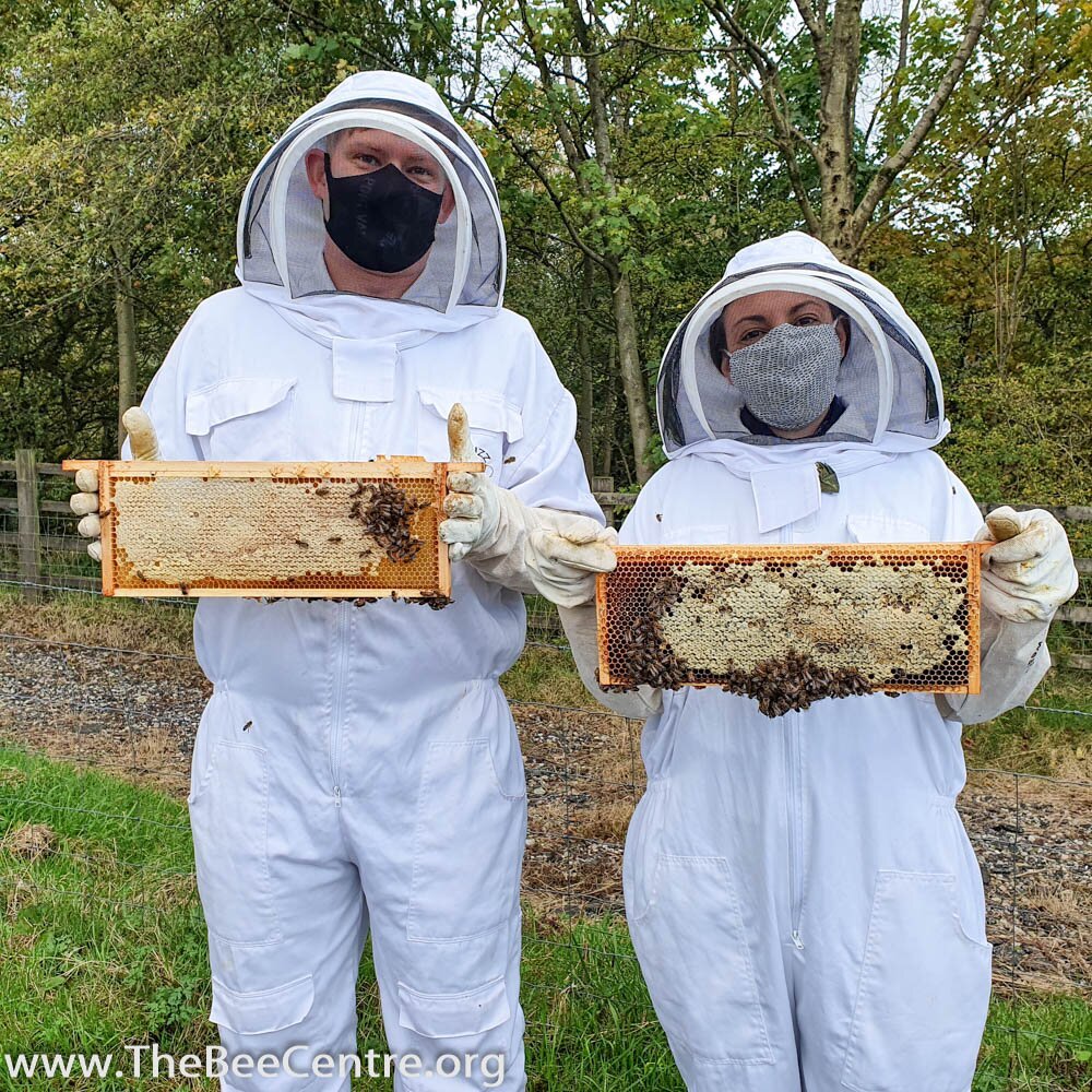 The Bee Centre
