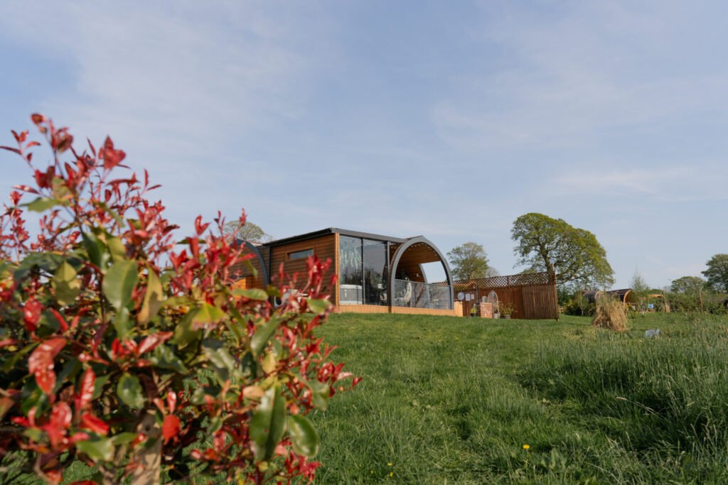 daisy glamping pod at hedgerow luxury glamping (1)